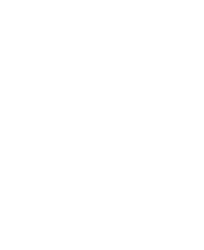 Avatar overlay